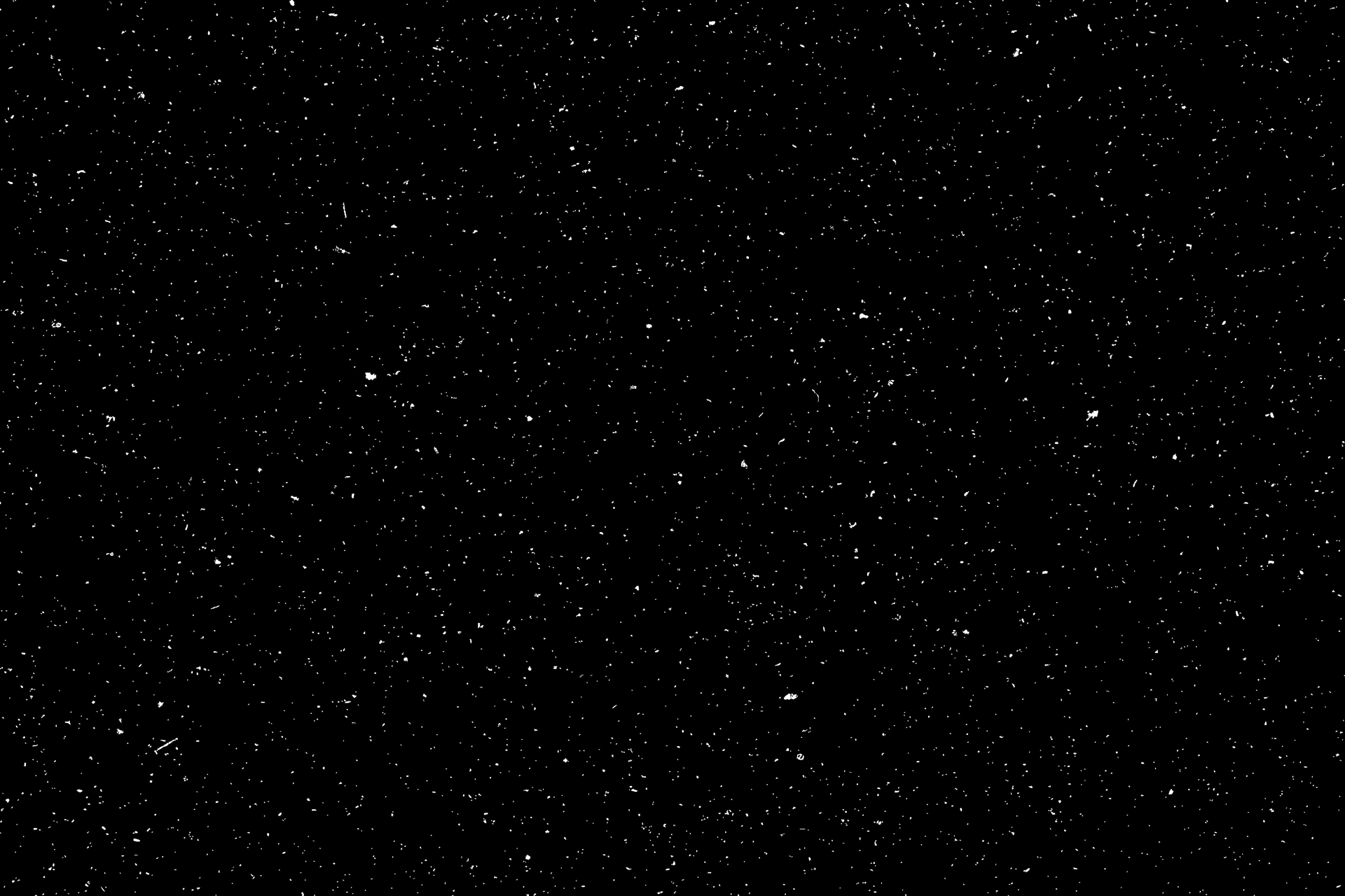 Armidale Lodge Advocacy & Welfare