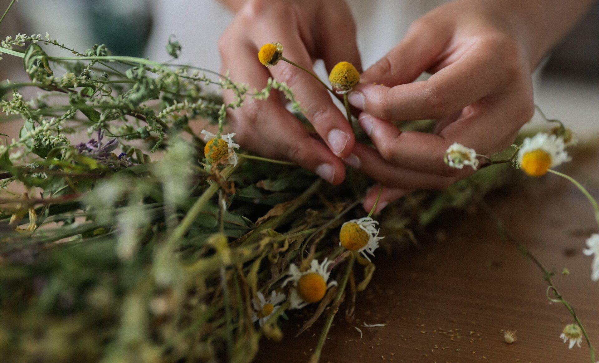 ladies hands tying up a bunch of hand picked flowers