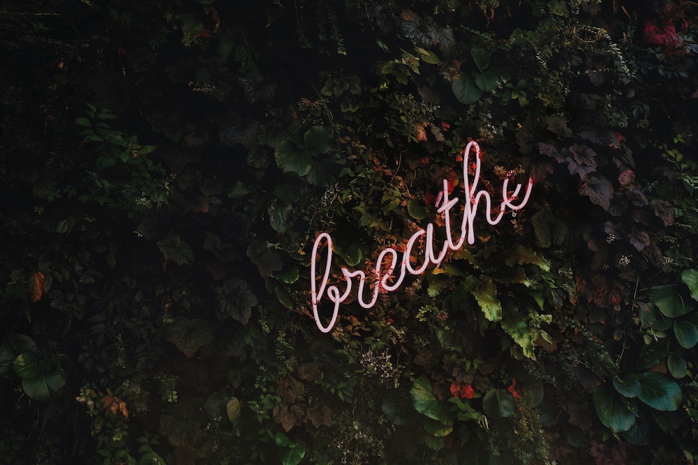 Breathe, neon lights on a wall of greenery